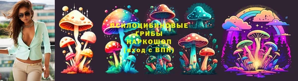 PSILOCYBIN Бугульма