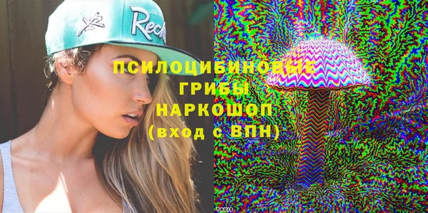 твердый Бронницы
