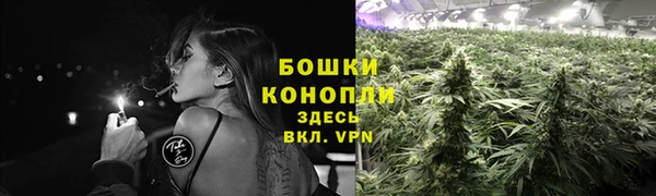 марки nbome Белокуриха